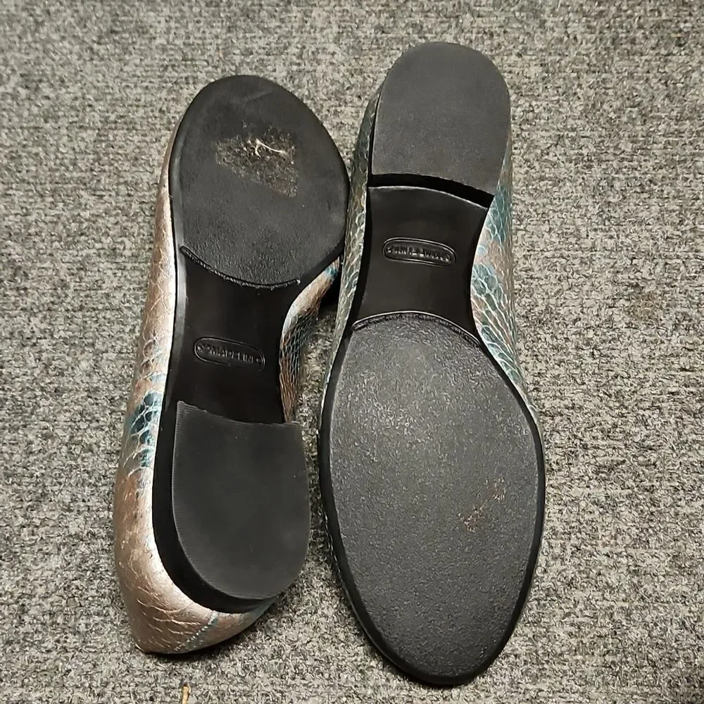 EUC Madeline Vesty Metallic Mermaid Buckle Ballet Flats